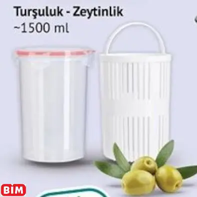 TURŞULUK - ZEYTİNLİK TURŞULUK - ZEYTİNLİK